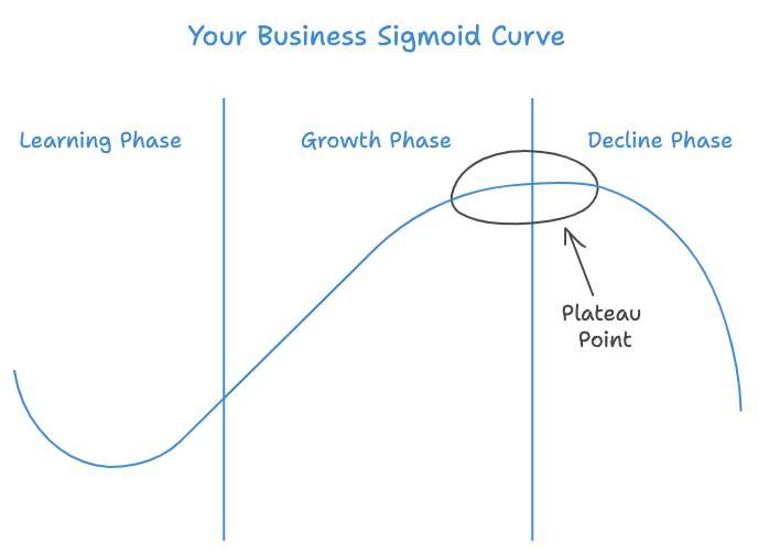 Your Business Sigmoid Curve — showing Learning Phase, Growth Phase, Plateau Point, and Decline Phase